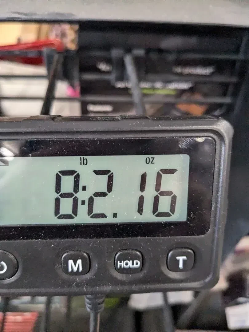 Изображение №8