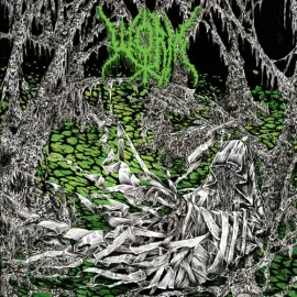 Виниловая пластинка Worm - Gloomlord - Splatter [New Vinyl LP] Colored Vinyl