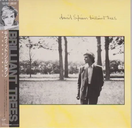 DAVID SYLVIAN - Brilliant Trees (CD, Japan)