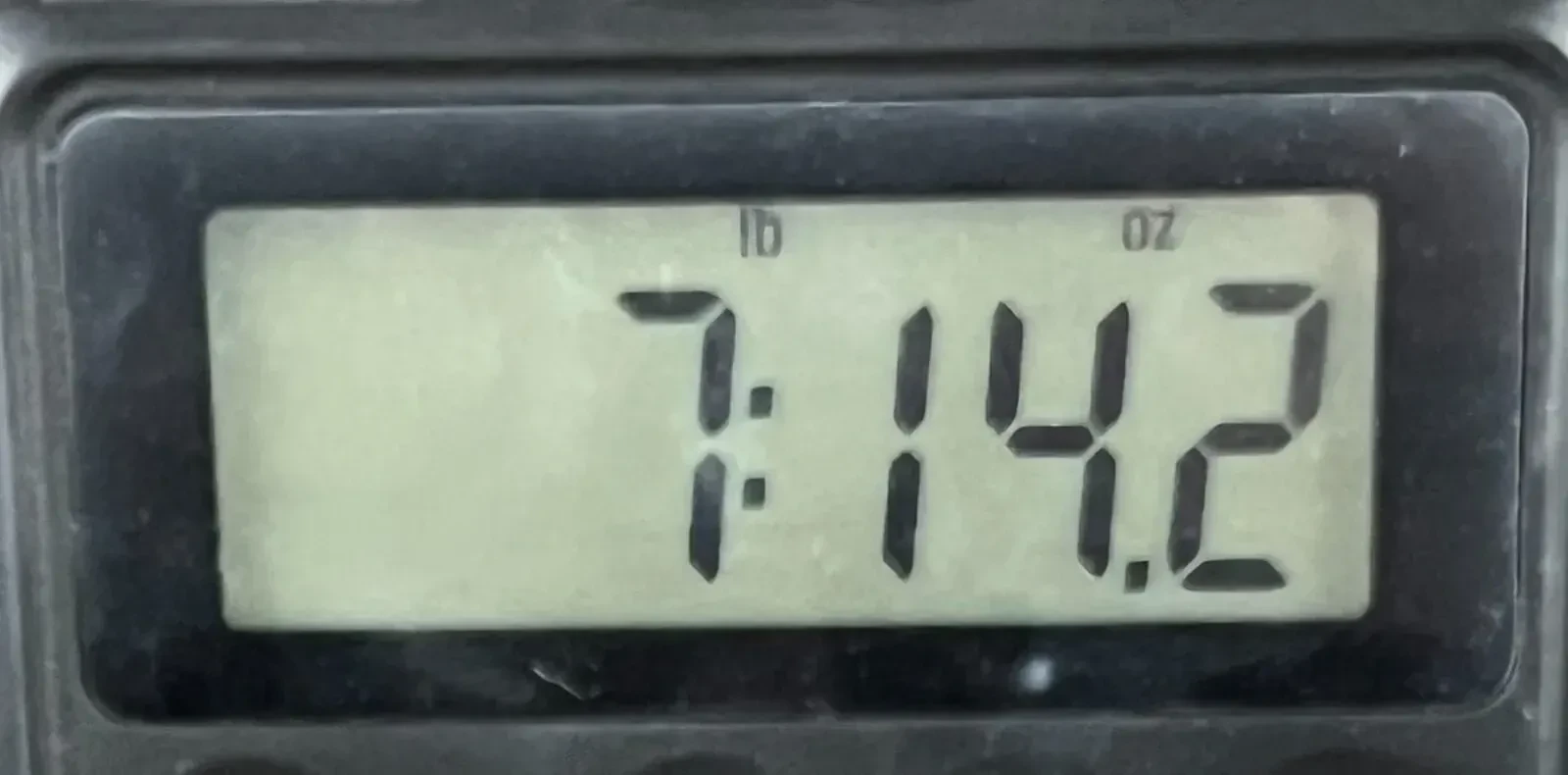 Изображение №8