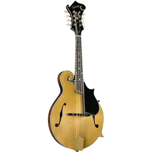 Мандолина Kentucky KM-858 Artist F-model Mandolin Gold Top