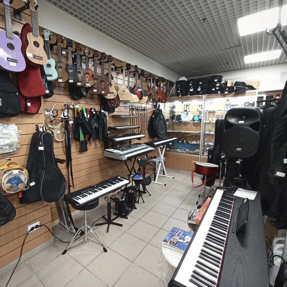 SKIFMUSIC — музыкальный магазин в Мытищах