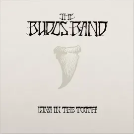 Виниловая пластинка The Budos Band - Long In The Tooth [New Vinyl LP] Digital Download