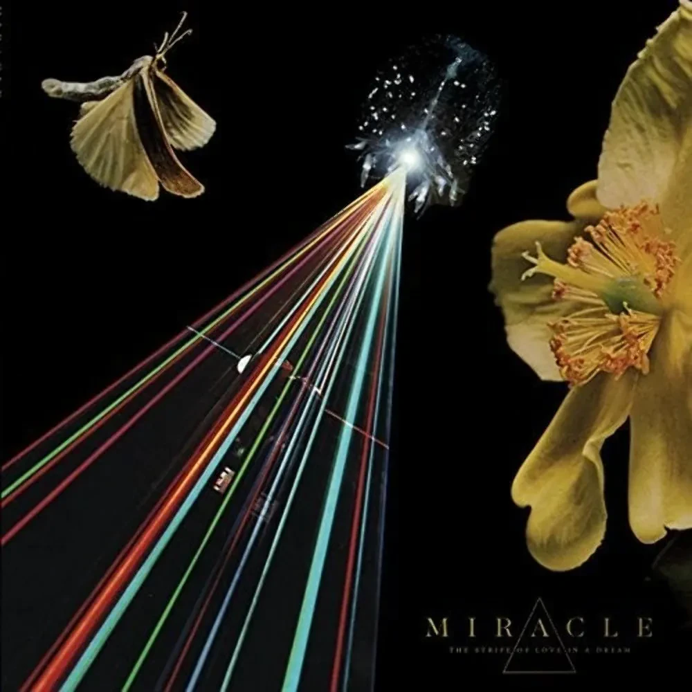 Виниловая пластинка Miracle – The Strife Of Love In A Dream Sealed