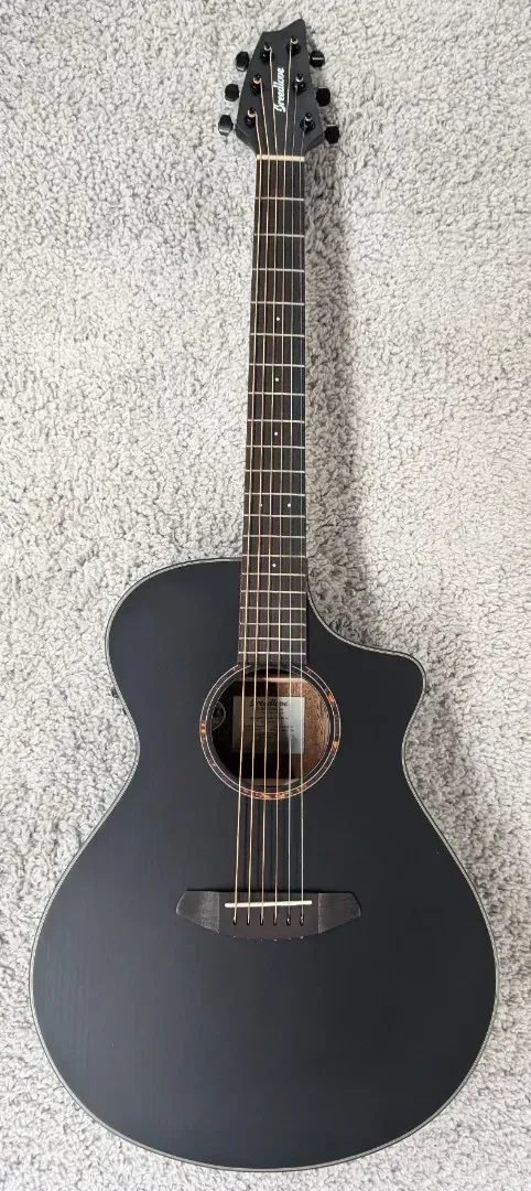 Электроакустическая гитара Breedlove Discovery S Concert Satin Black
