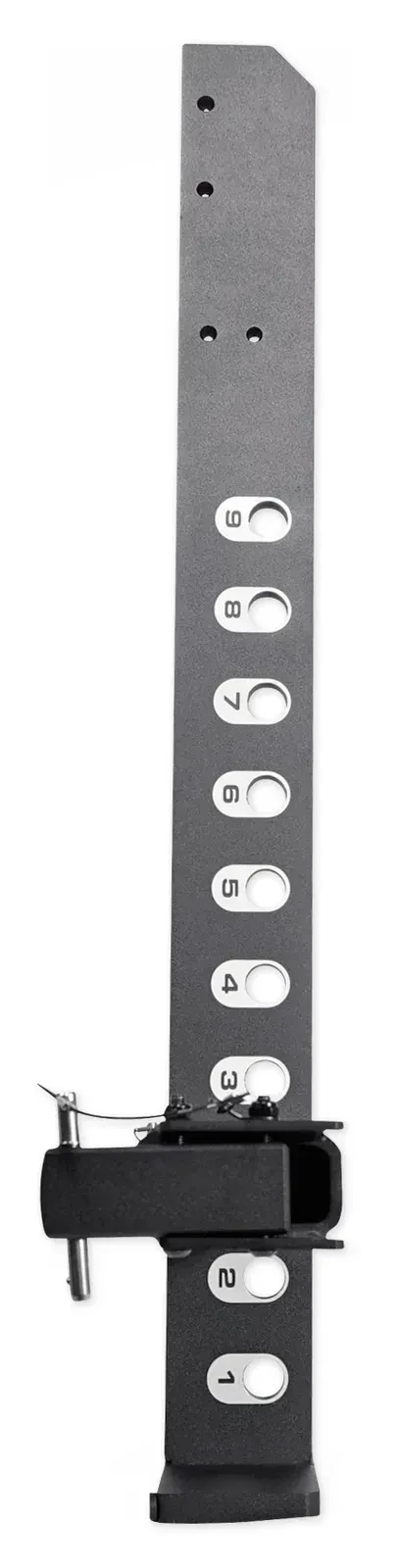 Изображение №3